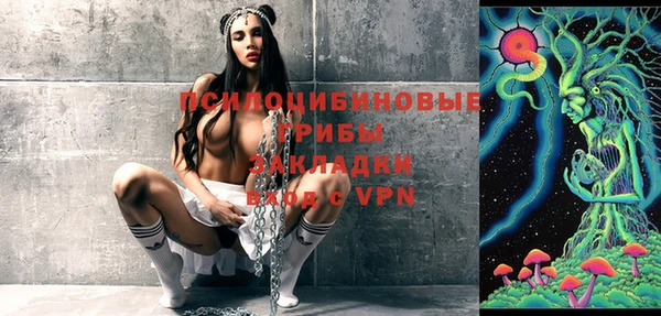 дурь Лиски